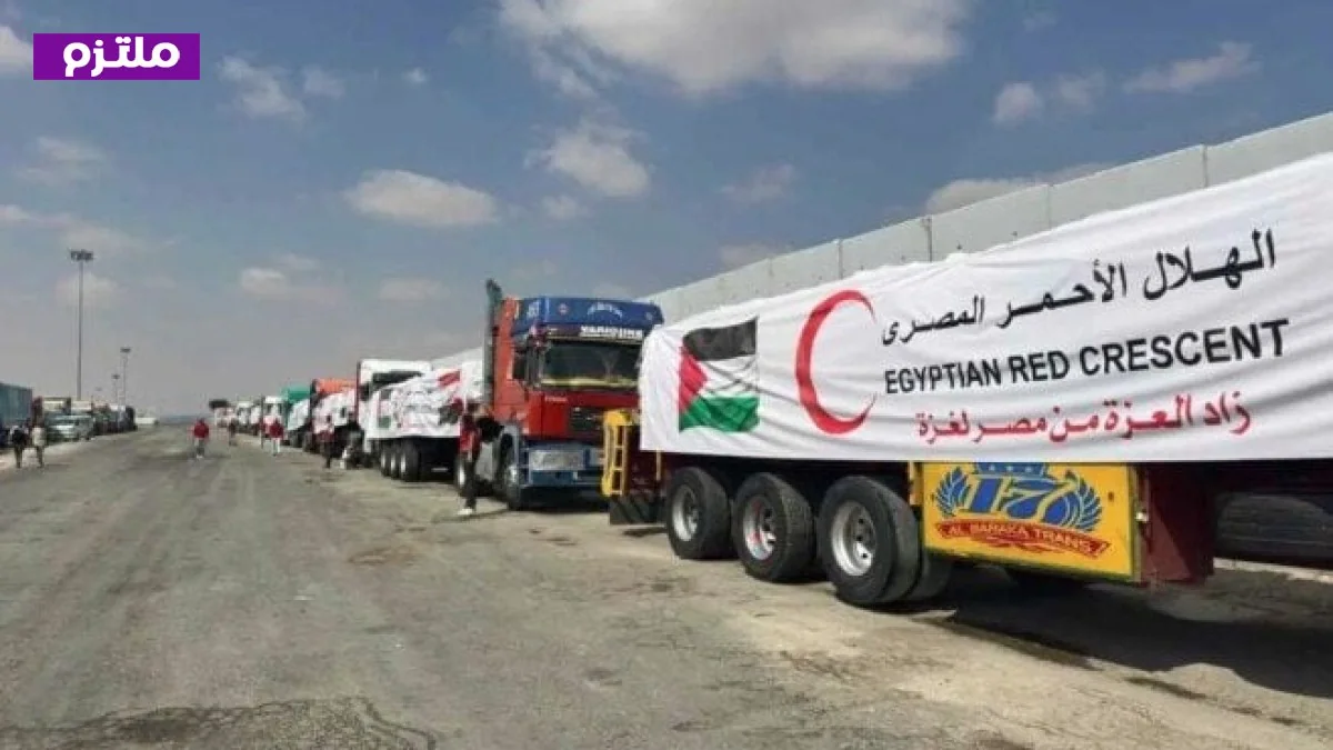 الهلال الأحمر المصري يستمر في تقديم المساعدات الإنسانية إلى غزة فيديو