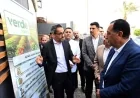 مدبولي يزور مصنع فيردي فودز للصناعات الغذائية الذي ينتج 3 آلاف طن سنوياً