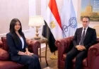 عواطف أبو السعود تتولى منصب نائب رئيس القناة الثانية في التلفزيون المصري