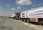 الهلال الأحمر المصري يستمر في تقديم المساعدات الإنسانية إلى غزة فيديو