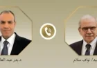 وزير الخارجية المصري يعبر عن الدعم الكامل للبنان لتعزيز مؤسسات الدولة