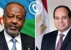 الرئيس السيسي يهاتف نظيره الجيبوتي للتهنئة بفوزه بولاية جديدة
