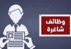 فرص عمل جديدة في 9 محافظات بقرابة 6732 وظيفة شاغرة أعلن عنها وزارة العمل في نشرة التوظيف الأسبوعية