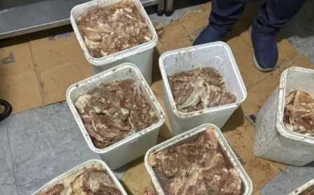 ضبط 156 طنًا من اللحوم المخالفة وتحرير 961 محضرًا في مارس حسب وزارة الزراعة