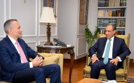 عبد العاطي يشدد على ضرورة ضمان تدفق المساعدات إلى غزة خلال لقائه مع الممثل الأعلى