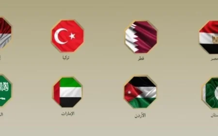 دول عربية وإسلامية تتضامن مع مصر في إدانة قانون إعدام الأسرى الفلسطينيين بيد إسرائيل