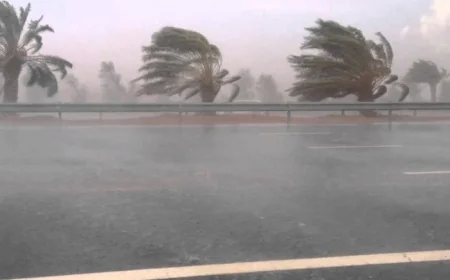 وزير الزراعة يعلن حالة الطوارئ لمواجهة تأثير التقلبات الجوية على القطاع الزراعي