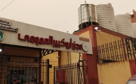 التنمية المحلية تبدأ التشغيل التجريبي لمجزر أبو كبير بالشرقية بتكلفة 25 مليون جنيه