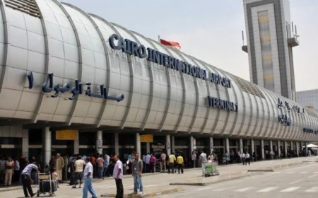 جمارك القاهرة تبدأ مزادًا علنيًا لبيع 34 لوط سيارات وبضائع مهملة وتحقق 70 مليون جنيه