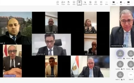 الخارجية تنظم جلسة افتراضية مع الجالية المصرية في لبنان لمناقشة أوضاعهم الحالية