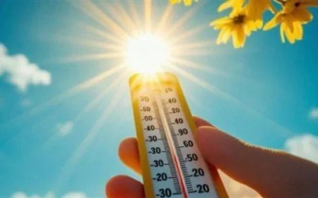 الأرصاد الجوية تحذر من طقس الجمعة 3 أبريل 2026 مع شبورة كثيفة ورياح مثيرة للأتربة