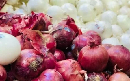 أسواق الأوروجواي تستقبل البصل والثوم المصري لأول مرة