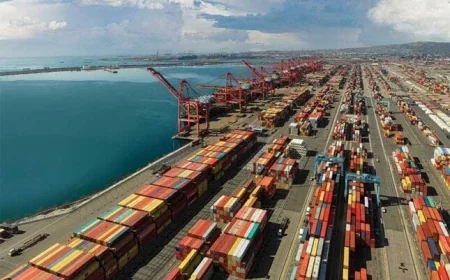 وزير المالية والاستثمار يؤكدان تشغيل الموانئ والمنافذ الجمركية بأقصى طاقتها طوال الأسبوع