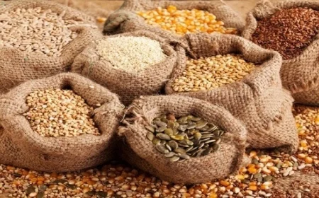 الزراعة تحذر المزارعين من شراء تقاوي مجهولة المصدر وتؤكد أهمية التحقق من جودة الاعتماد