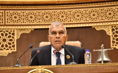 مجلس الشيوخ يوجه الحكومة بتنفيذ سلسلة من التوصيات الهامة