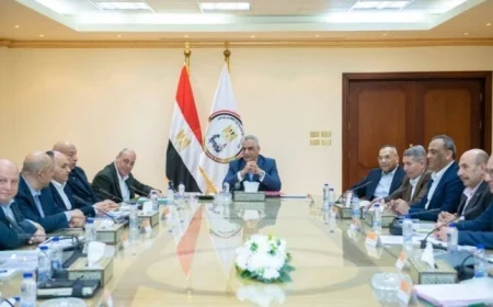 وزير الإنتاج الحربي يدعو لتطبيق إجراءات فعالة لترشيد استهلاك الكهرباء