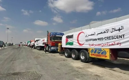 الهلال الأحمر المصري يستمر في تقديم المساعدات الإنسانية إلى غزة فيديو