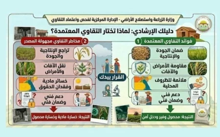 تحذير من الزراعة للفلاحين بشأن تقاوي مغشوشة تنتشر على السوشيال ميديا
