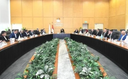 وزيرة الإسكان تكشف آخر التطورات في منطقة الأعمال المركزية بالعاصمة الجديدة