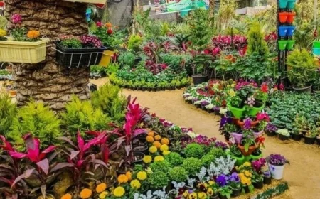 افتتاح جزئي لمعرض زهور الربيع الأحد المقبل احتفالا بشم النسيم والترحيب بالربيع