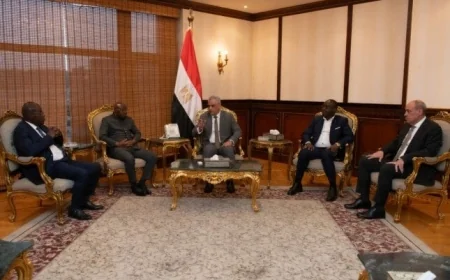 وزير الإنتاج الحربي يستقبل وفد رفيع من جمهورية إفريقيا الوسطى لتعزيز التعاون المشترك