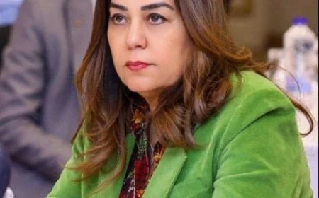 وزيرة التنمية المحلية والبيئة تؤكد تقدم مصر الملحوظ في تحسين جودة الهواء