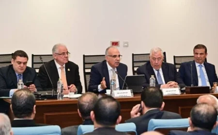 وزير الري يعلن عن خطة لتحديد مساحات زراعة الأرز لحماية الموارد المائية المحدودة