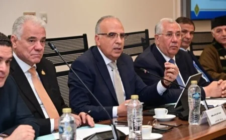 وزير الزراعة يكشف عن خطة لتعزيز استخدام المياه والتربة لضمان المحاصيل الاستراتيجية وزيادة العائدات