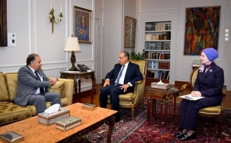 وزير الخارجية يبرز ضرورة تعزيز الوجود المصري في إفريقيا