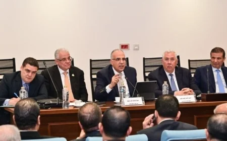 مصر تطلق خطة مبتكرة للتحول الرقمي والشبكات الذكية لمواجهة أزمة المياه