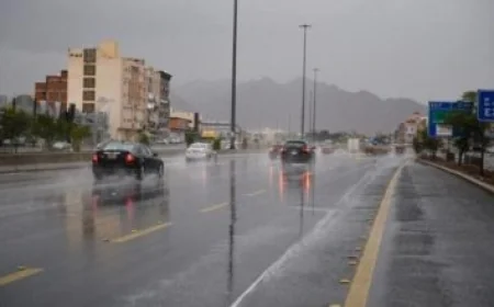 وزير الصحة يناقش مع نظيره الإندونيسي تعزيز أنظمة الترصد الوبائي والإنذار المبكر