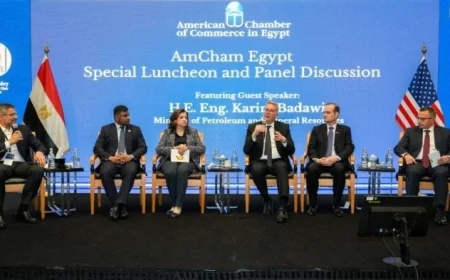 وزير البترول يكشف عن خفض مستحقات شركاء الاستثمار إلى 1.3 مليار دولار