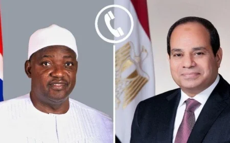 الرئيس السيسي يلتقي نظيره الجامبي لبحث الأوضاع الإقليمية وتعزيز التعاون الثنائي