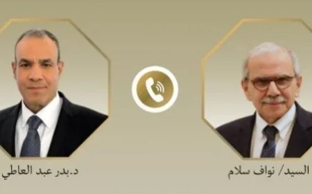 وزير الخارجية المصري يعبر عن الدعم الكامل للبنان لتعزيز مؤسسات الدولة