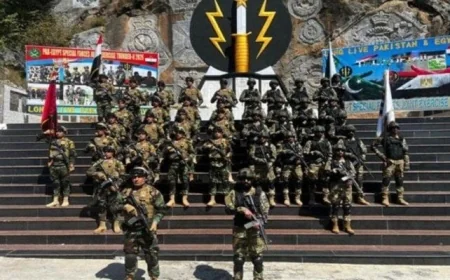 انطلاق تدريبات رعد – 2 المصرية الباكستانية المشتركة لتعزيز التعاون العسكري