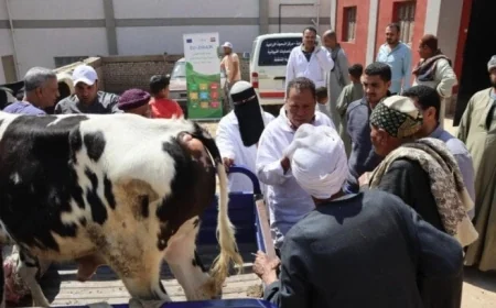 الزراعة تقدم قوافل بيطرية مجانية لدعم صغار المربين في أسيوط