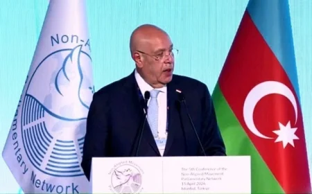 رئيس النواب في اسطنبول يؤكد أن مصر ترى تغير المناخ تحديا وجوديا يهدد المجتمعات العالمية