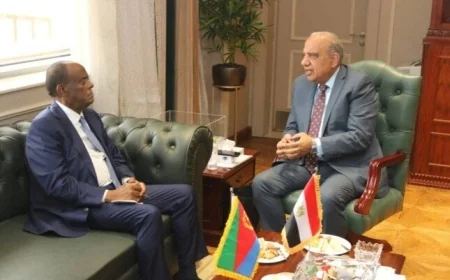 مصر تدعم شراكتها مع إريتريا في قطاع الكهرباء والطاقة المتجددة للتنمية المستدامة