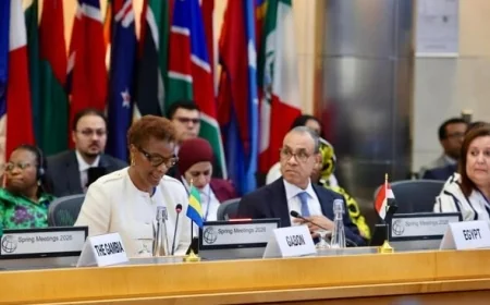 وزير الخارجية يلتقي برئيس البنك الدولي في اجتماع المجموعة الاستشارية الإفريقية