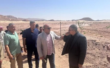 الزراعة تطلق حزمة دعم شاملة لمتضرري السيول في سيناء وتستصلح الأراضي على نفقة الوزارة