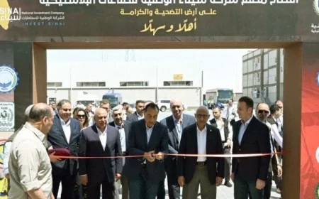 رئيس الوزراء يؤكد أن مصنع سيناء يمثل خطوة جديدة نحو تعزيز التنمية الصناعية في جميع أنحاء البلاد