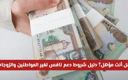 تحديثات نافس تشمل المطلقات والأرامل وزوجات المواطنين في الإمارات هل سيحصلون على الدعم؟