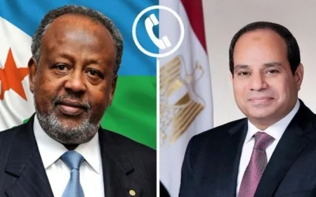 الرئيس السيسي يهاتف نظيره الجيبوتي للتهنئة بفوزه بولاية جديدة