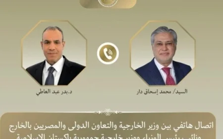 وزير الخارجية يناقش مع نظيره الباكستاني تطورات المفاوضات الأمريكية الإيرانية