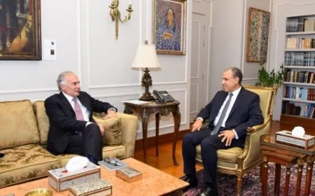 وزير الخارجية يستقبل المبعوث الأممي للشرق الأوسط في القاهرة عاصمة الفعل الدبلوماسي