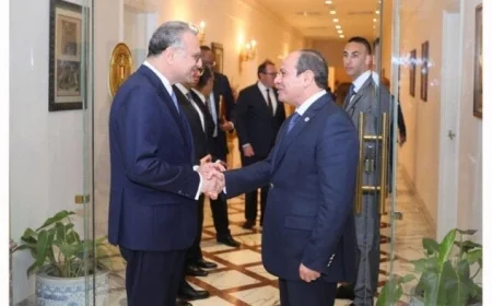 مستشار ترامب يؤكد تقدير الرئيس الأمريكي لأهمية مصر في تعزيز استقرار المنطقة