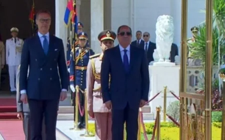 الرئيس السيسي يستضيف الرئيس الفنلندي في قصر الاتحادية البث المباشر للمقابلة