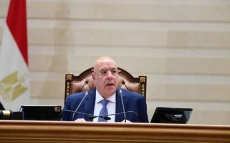 مجلس النواب يستبعد عبارة قوانين سيئة السمعة من محضر الجلسة