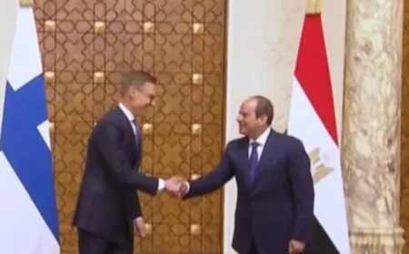 نص كلمة الرئيس السيسي خلال المؤتمر الصحفي مع الرئيس الفنلندي