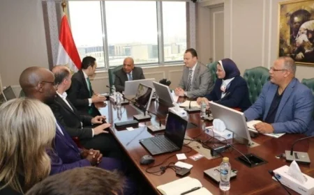 وزير الكهرباء يتعاون مع سكاتك النرويجية لتسريع مشاريع الطاقة الشمسية في مصر